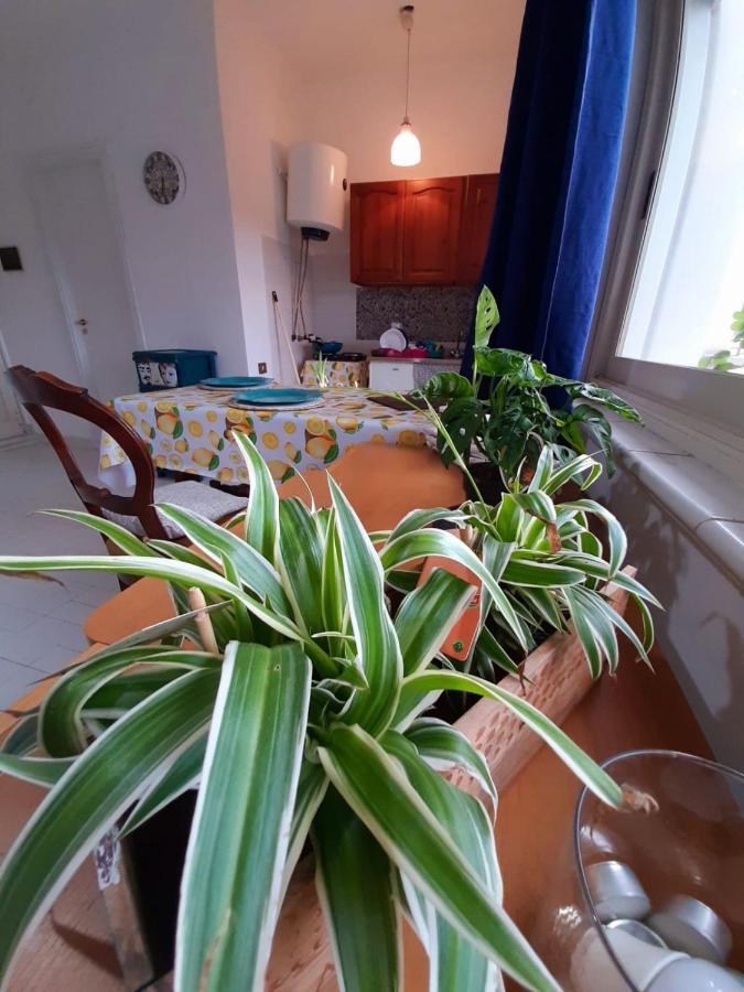 巴勒莫Casa Marisa别墅 外观 照片
